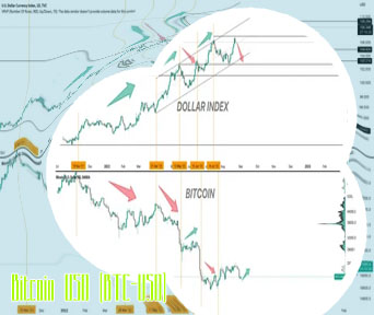 Usd vs btc