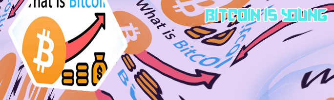 What is bitcoin and how is it used